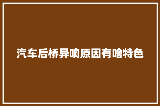 汽车后桥异响原因有啥特色  第1张