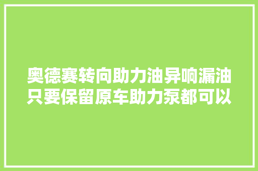 奥德赛转向助力油异响漏油只要保留原车助力泵都可以维修