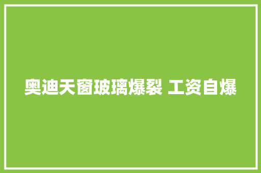 奥迪天窗玻璃爆裂 工资自爆