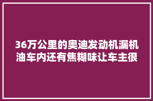 36万公里的奥迪发动机漏机油车内还有焦糊味让车主很是不安