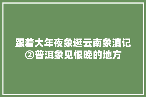 跟着大年夜象逛云南象滇记②普洱象见恨晚的地方 休闲娱乐
