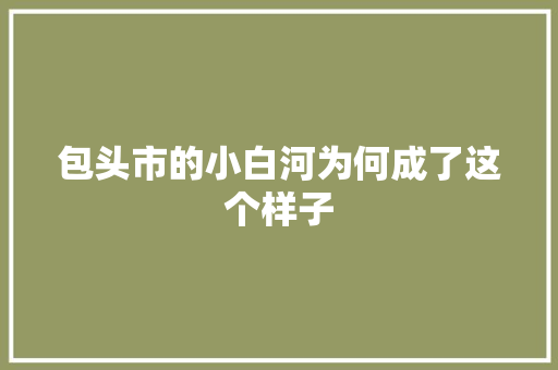 包头市的小白河为何成了这个样子