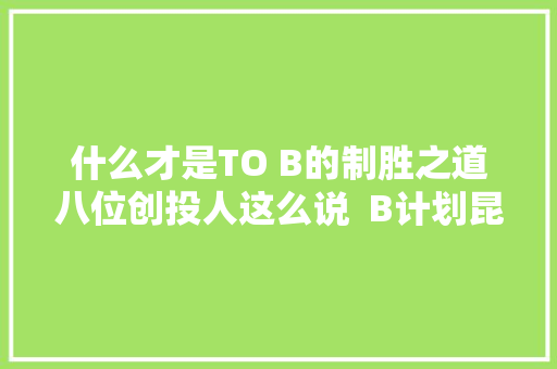 什么才是TO B的制胜之道八位创投人这么说  B计划昆仲论道