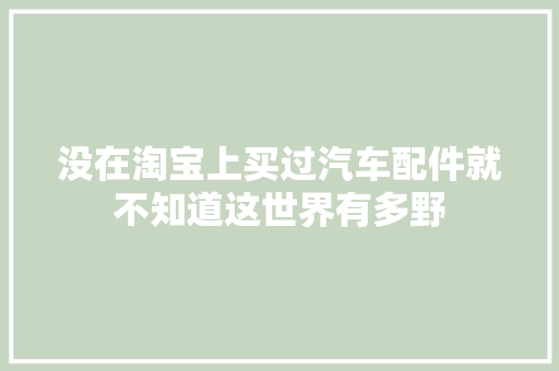 没在淘宝上买过汽车配件就不知道这世界有多野  第1张