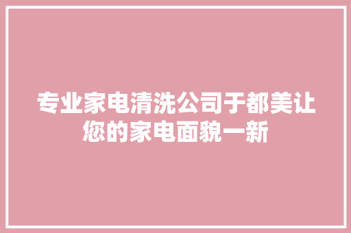 专业家电清洗公司于都美让您的家电面貌一新