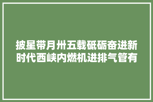 披星带月卅五载砥砺奋进新时代西峡内燃机进排气管有限责任公司成长纪实