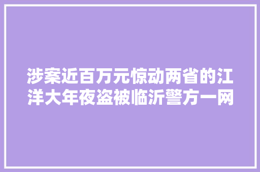 涉案近百万元惊动两省的江洋大年夜盗被临沂警方一网打尽