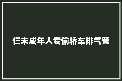 仨未成年人专偷轿车排气管