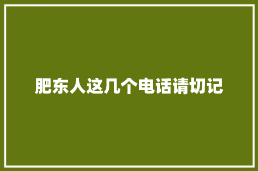 肥东人这几个电话请切记