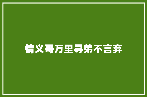 情义哥万里寻弟不言弃