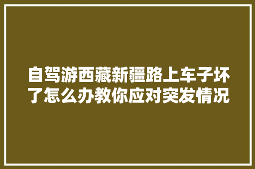 自驾游西藏新疆路上车子坏了怎么办教你应对突发情况