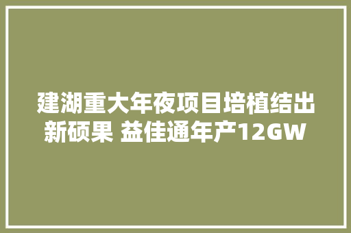 建湖重大年夜项目培植结出新硕果 益佳通年产12GWh新能源动力锂电池项目一期投产  第1张
