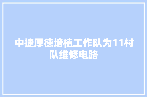 中捷厚德培植工作队为11村队维修电路