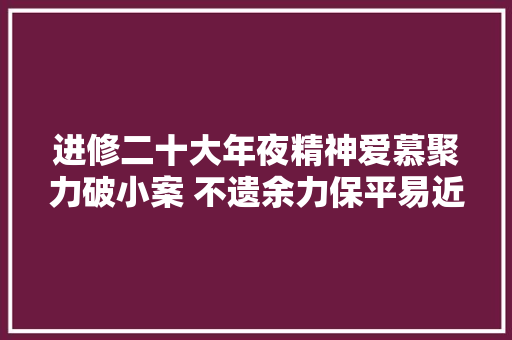 进修二十大年夜精神爱慕聚力破小案 不遗余力保平易近安