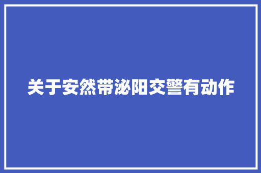 关于安然带泌阳交警有动作