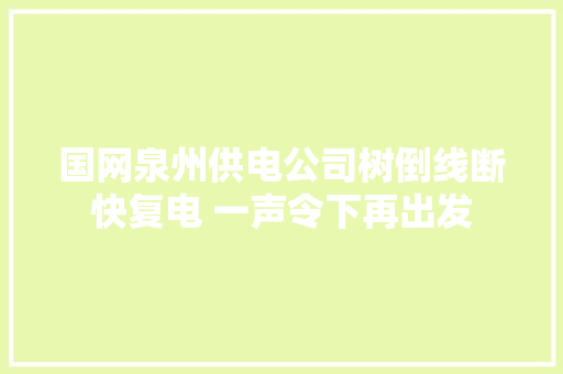 国网泉州供电公司树倒线断快复电 一声令下再出发