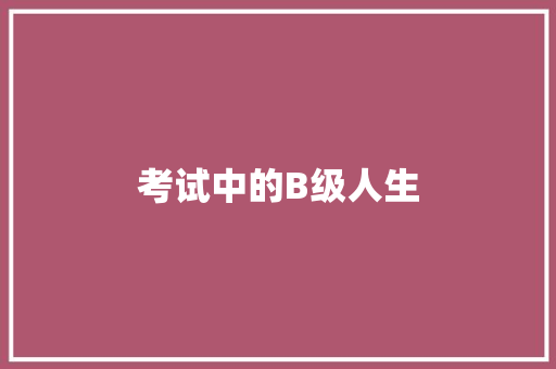考试中的B级人生
