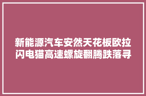 新能源汽车安然天花板欧拉闪电猫高速螺旋翻腾跌落寻衅成功