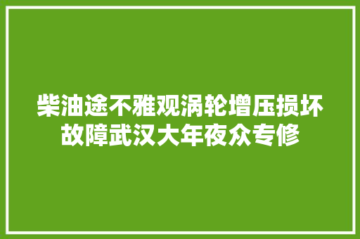 柴油途不雅观涡轮增压损坏故障武汉大年夜众专修