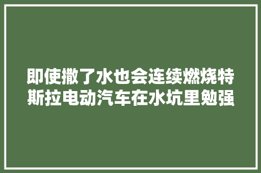 即使撒了水也会连续燃烧特斯拉电动汽车在水坑里勉强灭火