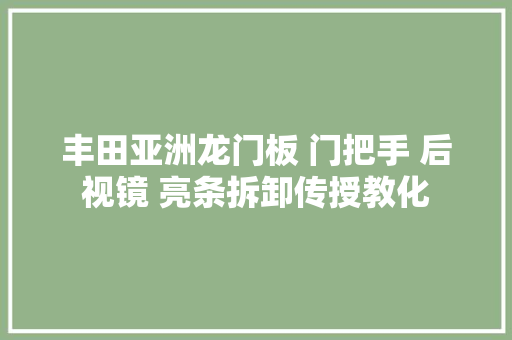 丰田亚洲龙门板 门把手 后视镜 亮条拆卸传授教化