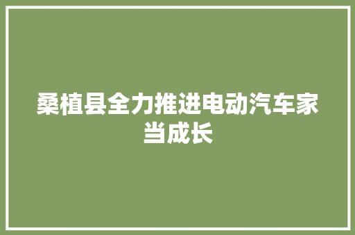 桑植县全力推进电动汽车家当成长