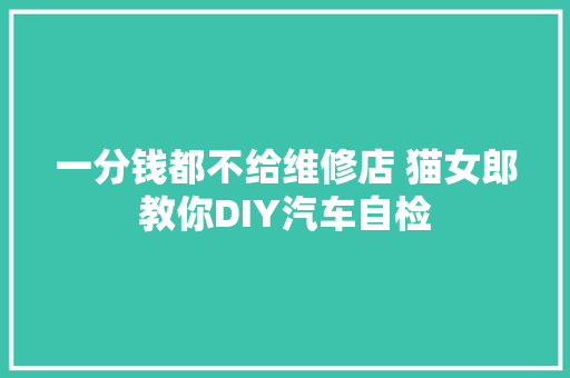 一分钱都不给维修店 猫女郎教你DIY汽车自检