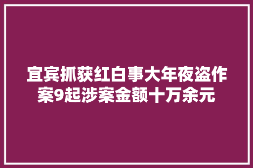 宜宾抓获红白事大年夜盗作案9起涉案金额十万余元