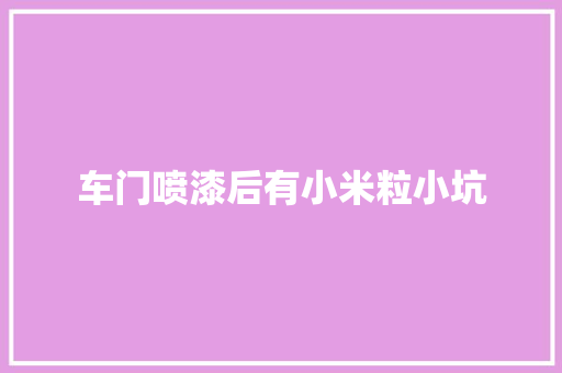 车门喷漆后有小米粒小坑