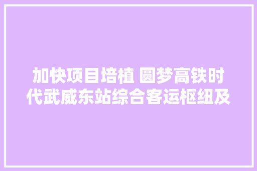 加快项目培植 圆梦高铁时代武威东站综合客运枢纽及泊车场项目培植见闻