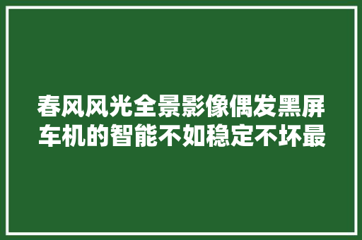 春风风光全景影像偶发黑屏车机的智能不如稳定不坏最重要
