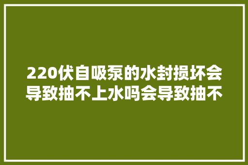 220伏自吸泵的水封损坏会导致抽不上水吗会导致抽不上水