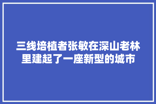 三线培植者张敏在深山老林里建起了一座新型的城市  第1张