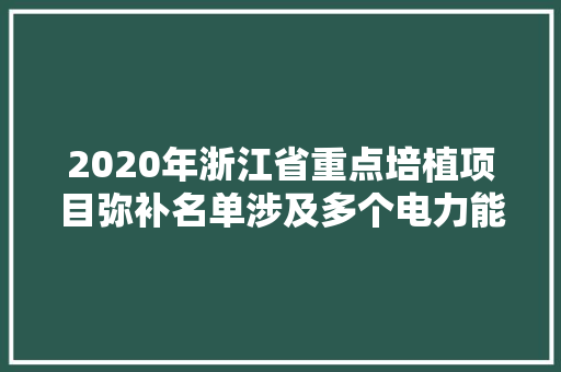 2020年浙江省重点培植项目弥补名单涉及多个电力能源项目