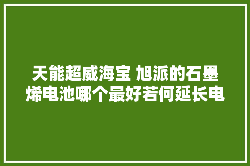 天能超威海宝 旭派的石墨烯电池哪个最好若何延长电池寿命