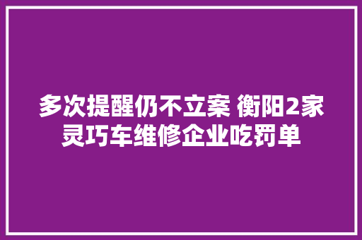 多次提醒仍不立案 衡阳2家灵巧车维修企业吃罚单