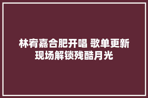 林宥嘉合肥开唱 歌单更新现场解锁残酷月光
