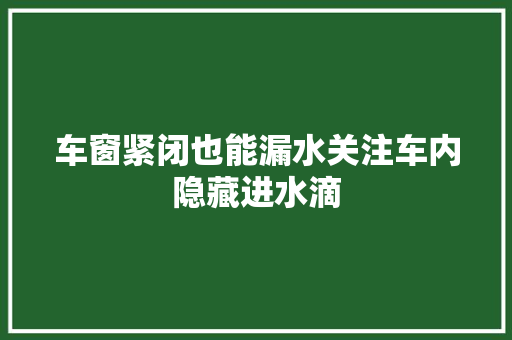 车窗紧闭也能漏水关注车内隐藏进水滴  第1张