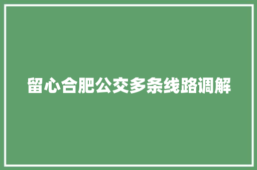 留心合肥公交多条线路调解  第1张