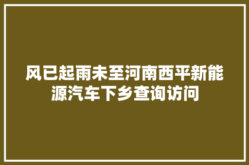 风已起雨未至河南西平新能源汽车下乡查询访问