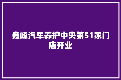 巍峰汽车养护中央第51家门店开业  第1张