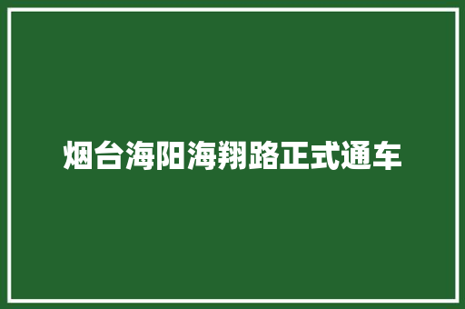烟台海阳海翔路正式通车