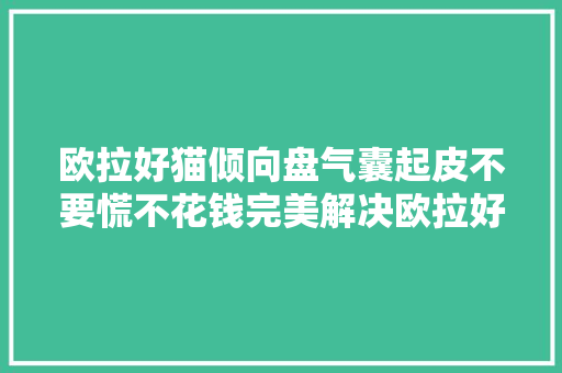 欧拉好猫倾向盘气囊起皮不要慌不花钱完美解决欧拉好猫  第1张
