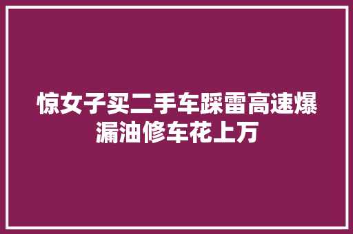 惊女子买二手车踩雷高速爆漏油修车花上万  第1张