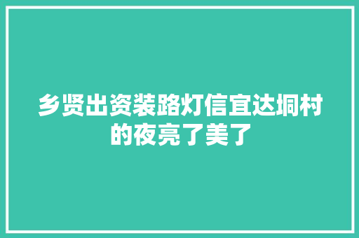 乡贤出资装路灯信宜达垌村的夜亮了美了  第1张