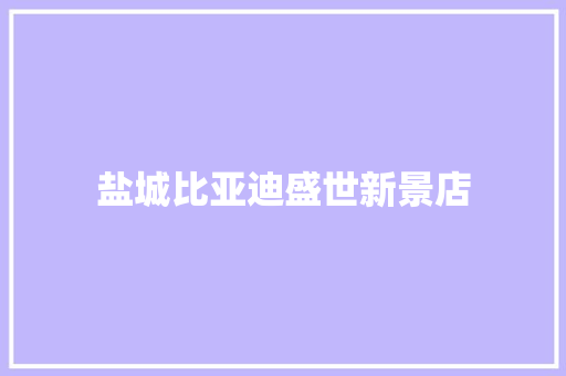 盐城比亚迪盛世新景店  第1张