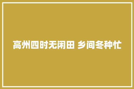 高州四时无闲田 乡间冬种忙  第1张