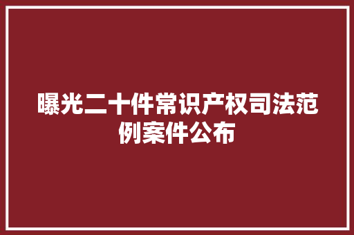 曝光二十件常识产权司法范例案件公布  第1张