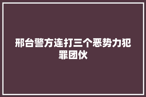 邢台警方连打三个恶势力犯罪团伙