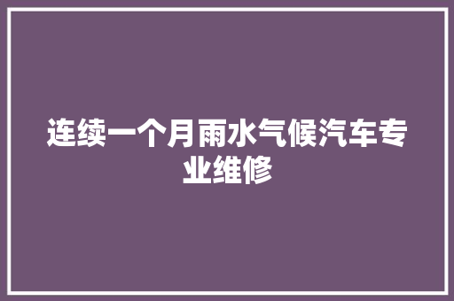 连续一个月雨水气候汽车专业维修